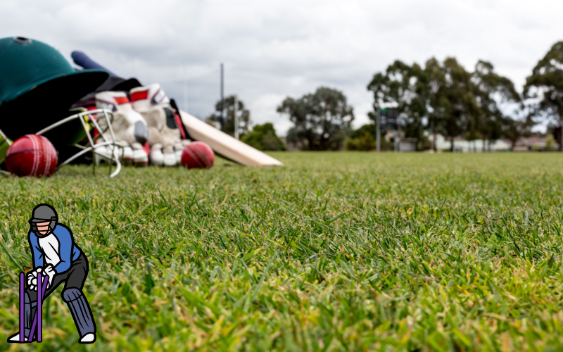 Ind vs SA T20